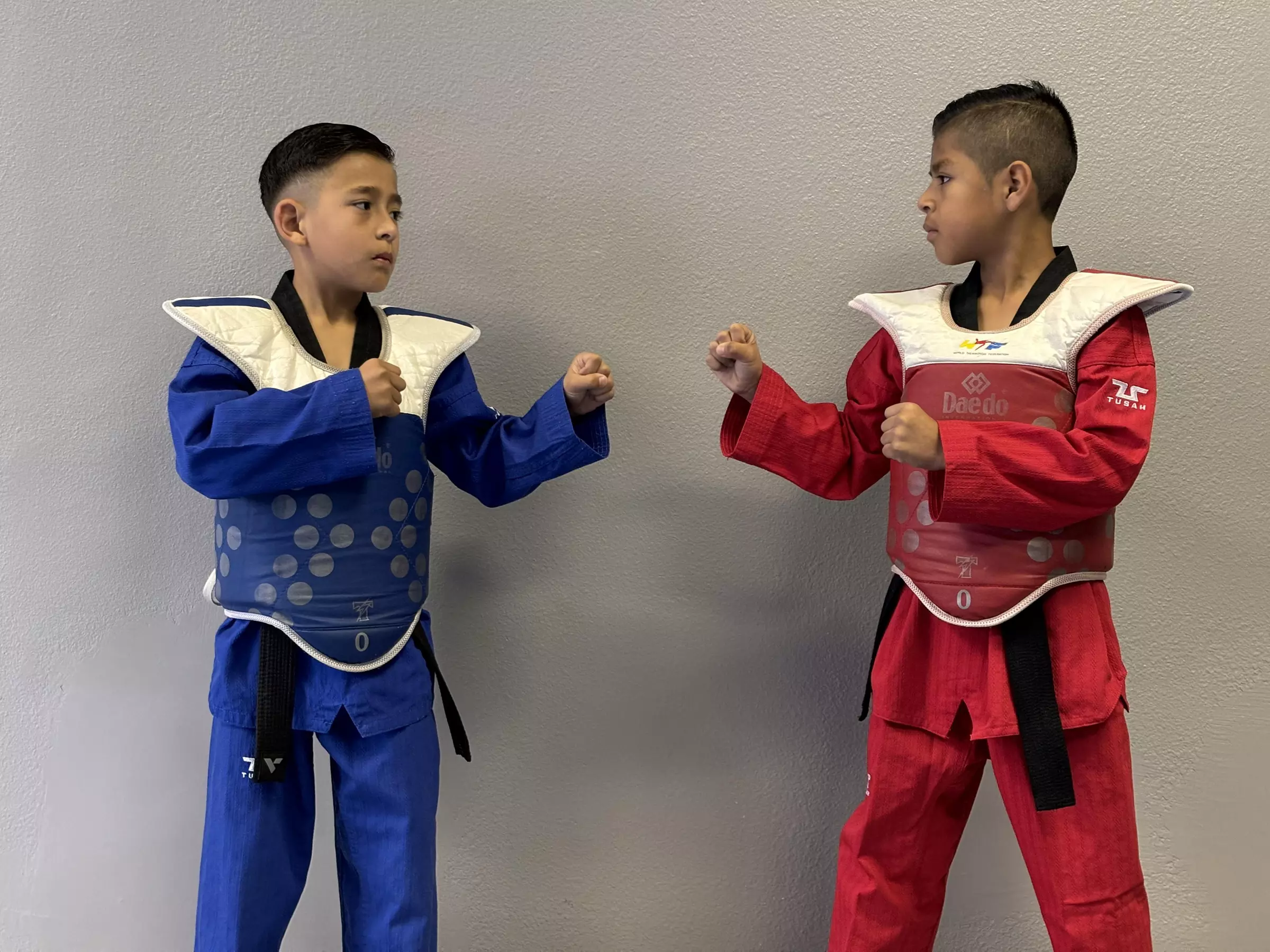 Get a Two Kids or Twelve Kids Taekwondo Classes with/Without Uniform