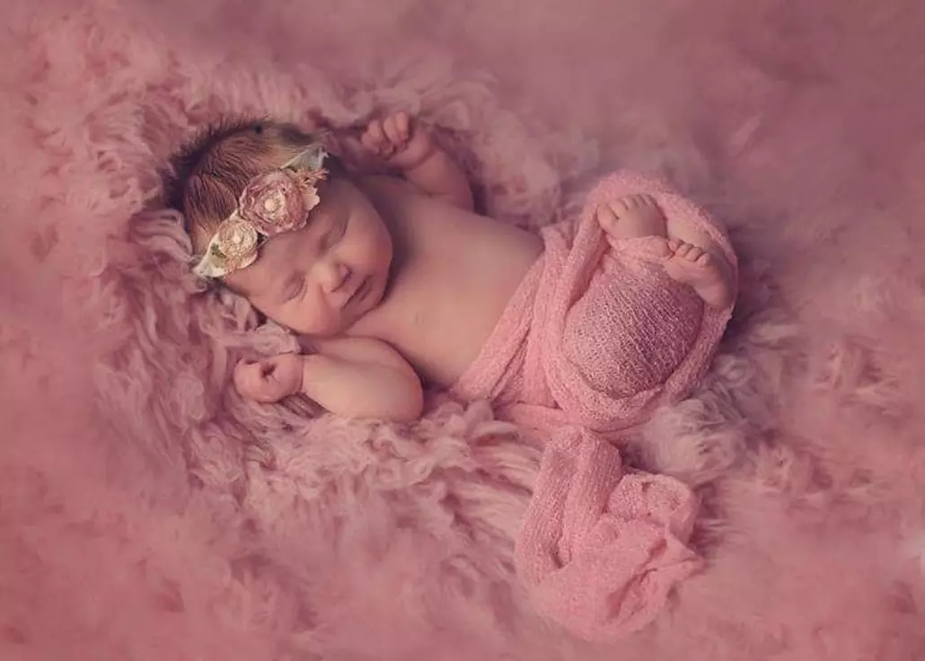 Up to 60% Off on Lifecycle Series Photography at Maria Sheehan Photography - Second Medium