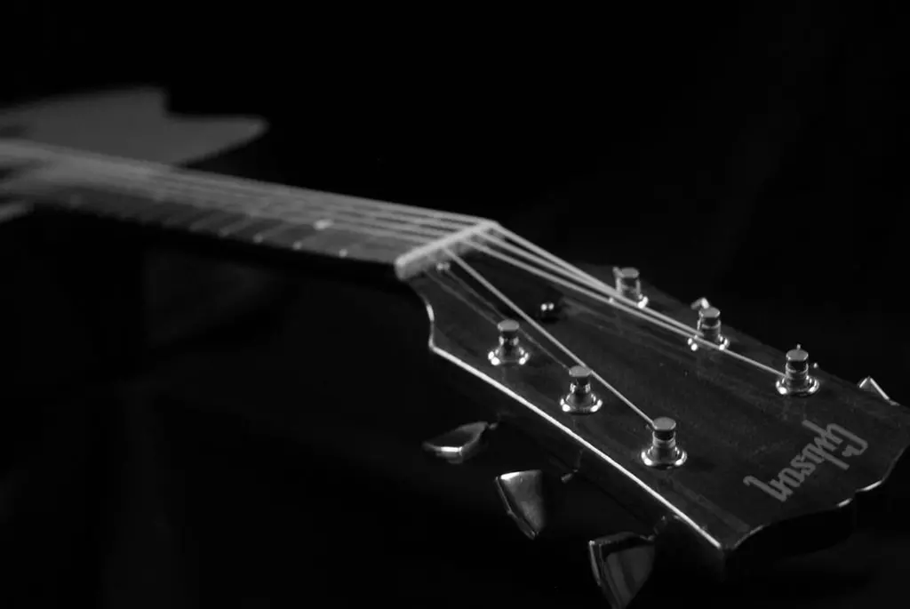 Up to 50% Off on Musical Instrument Course at Mike Westbrock