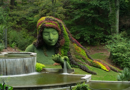 Weekday Admission (Adult or Child) - Atlanta Botanical Garden
