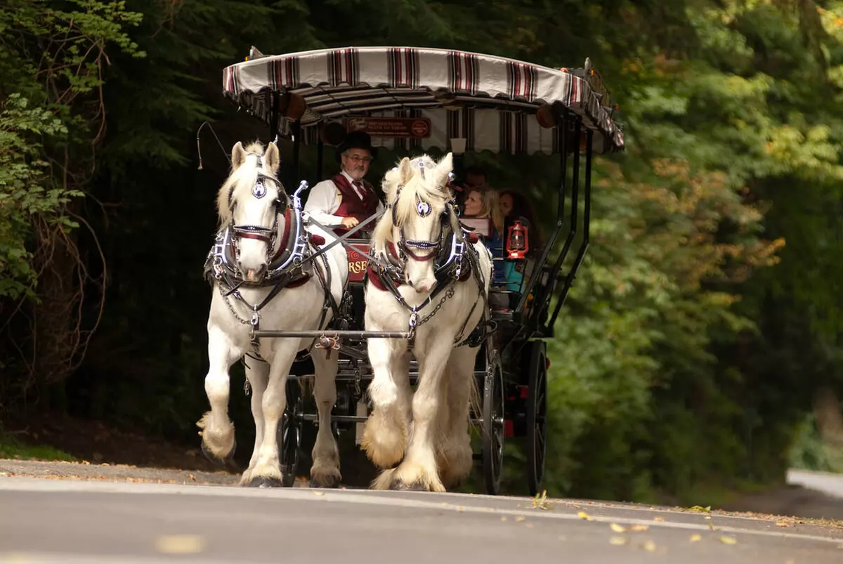 Up to 12% Off on City Tour at The Great Canadian Trolley Company - Second Medium