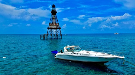 Full Day 4 Hours - Miami Motion LLC - FL