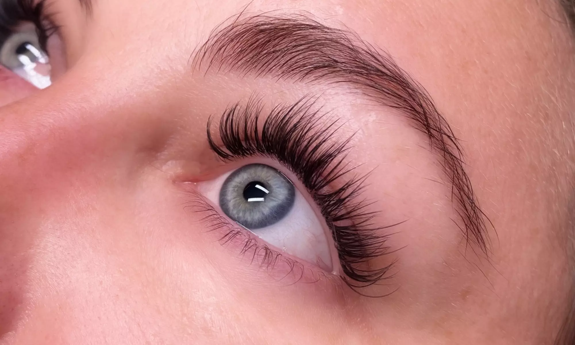 Up to 57% Off on Eyelash Extensions at Magnolia Beauty Bar LLC - Primary Image