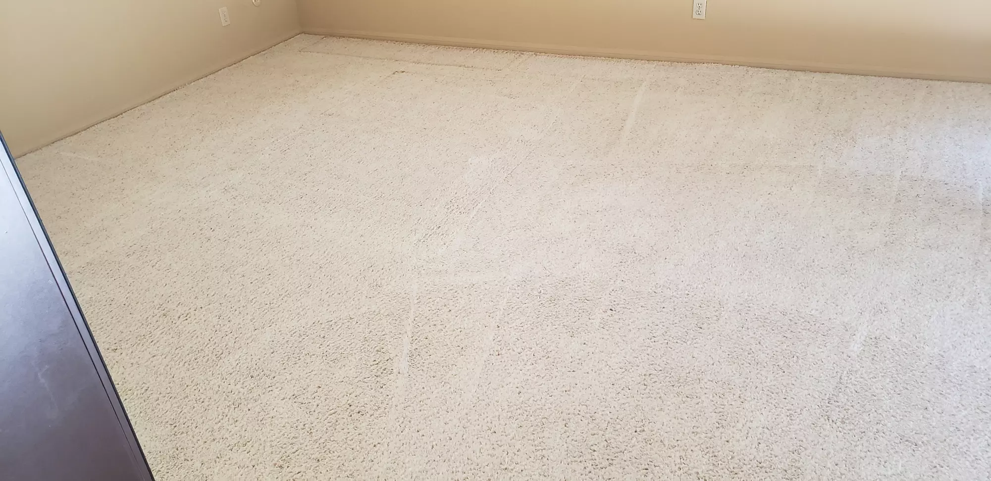 Experience Freshness with Carpet Cleaning for 3 Rooms