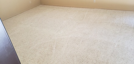 Carpet Cleaning for 3 Rooms - Top Notch Carpet and Janitorial