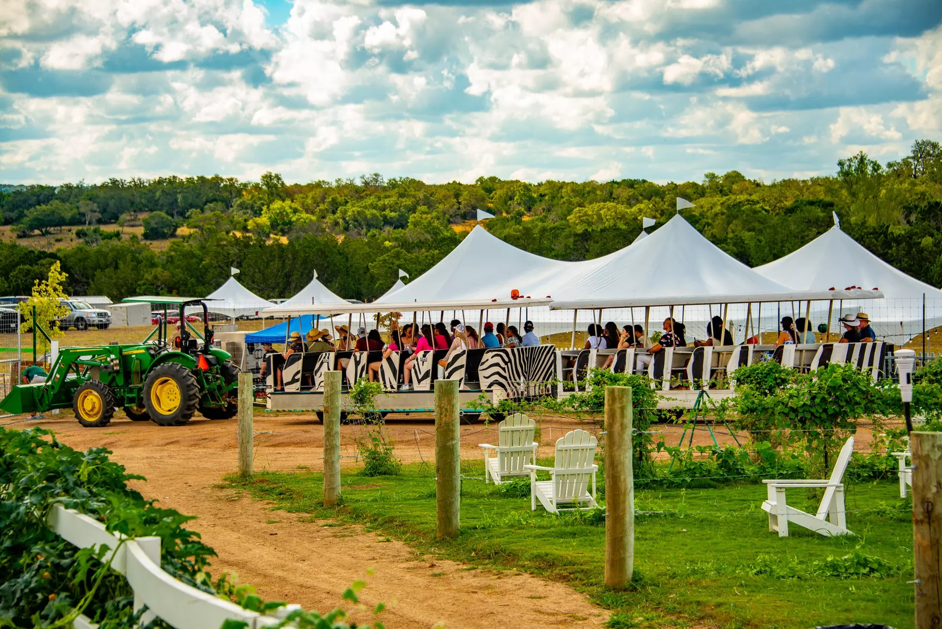 Join Grapetown Vineyard for a Ranch Tram Tour w/ Wine Tasting—Enjoy up to 50% off your next grape escape - Primary Image