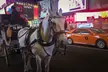 Experience NYC Fancy Rides' Iconic Spots on a Private Horse Carriage Ride (Up to 28% Off) - Second Medium