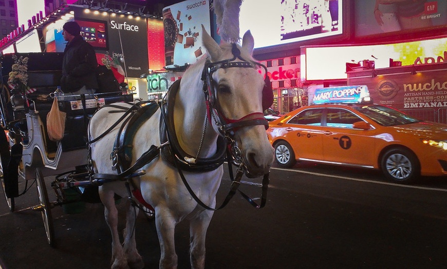 Image 3: Experience NYC's Iconic Spots on a Private Horse Carriage Ride 