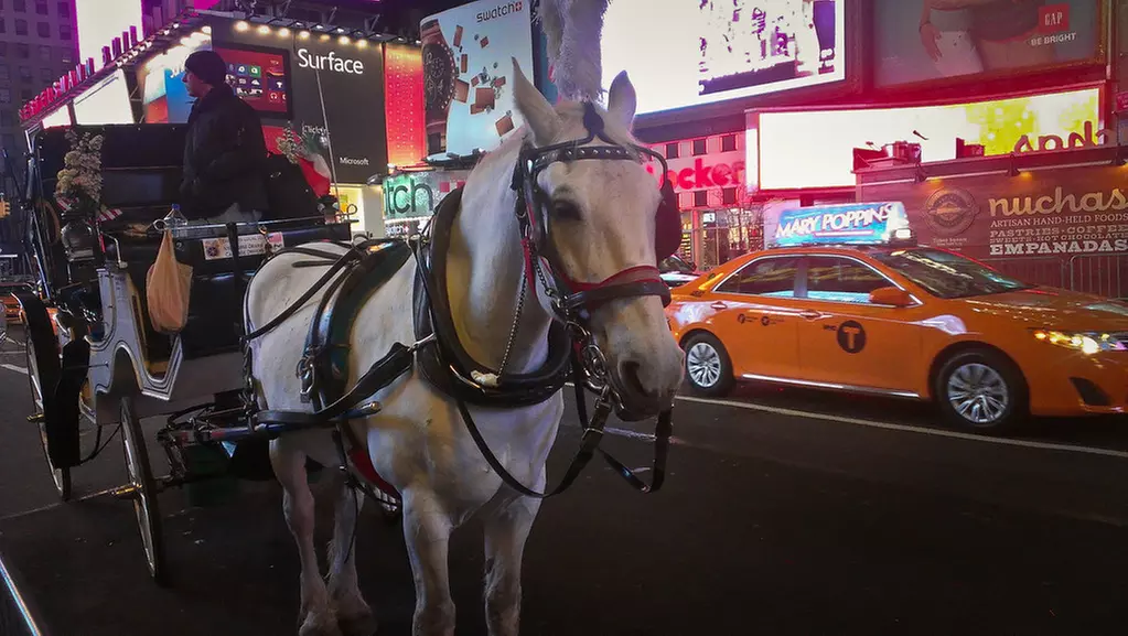 Experience NYC's Iconic Spots on a Private Horse Carriage Ride 