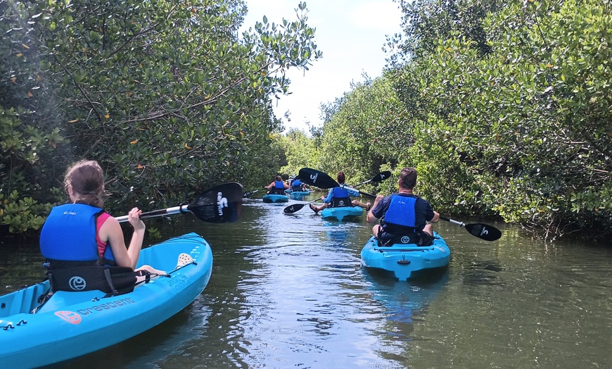 Image 4: BOGO Bioluminescent Kayaking & Guided Eco Tours at Cocoa Beach