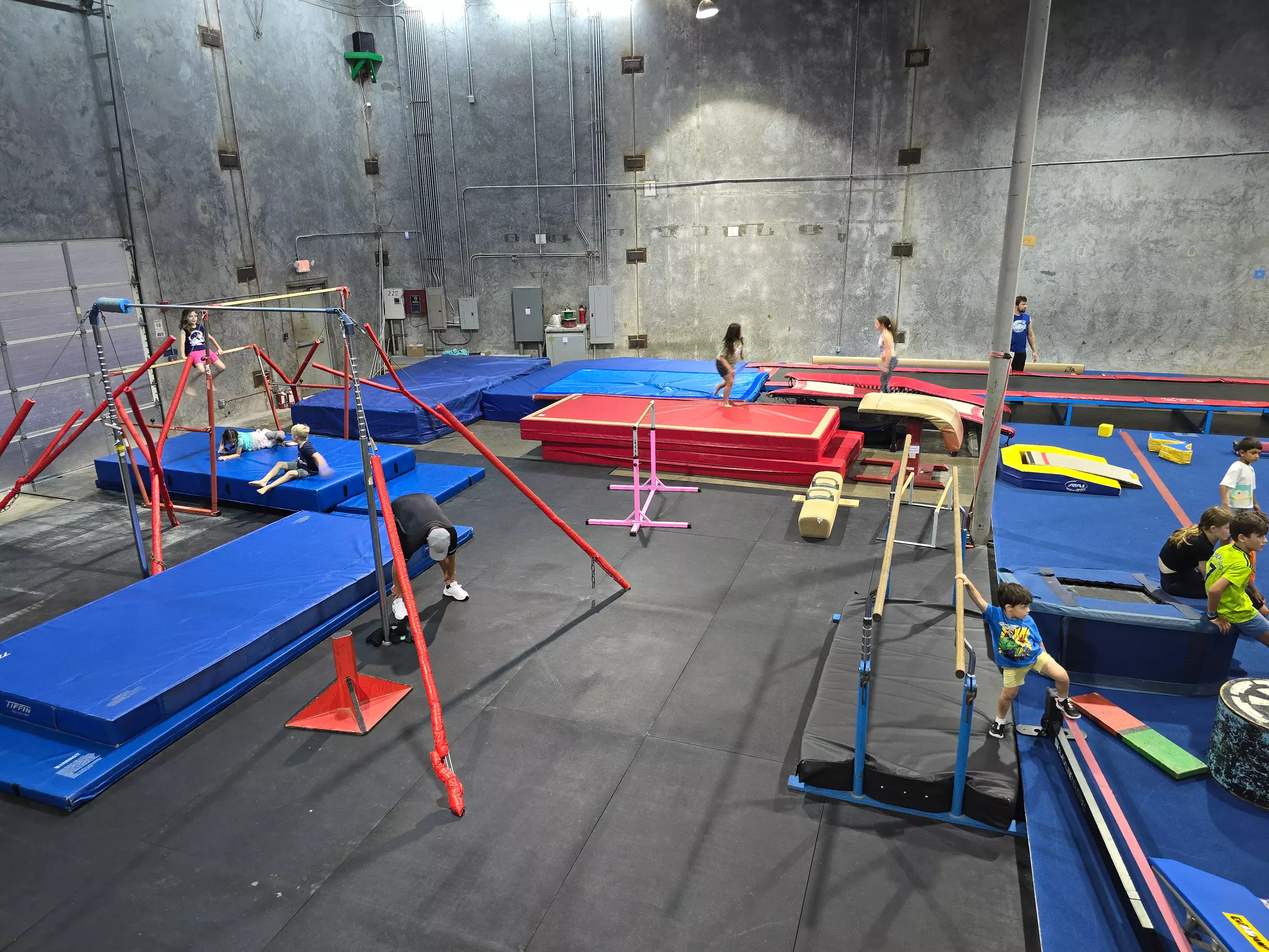 Open Gym for You and Your Friends in The Jungle Movement Academy