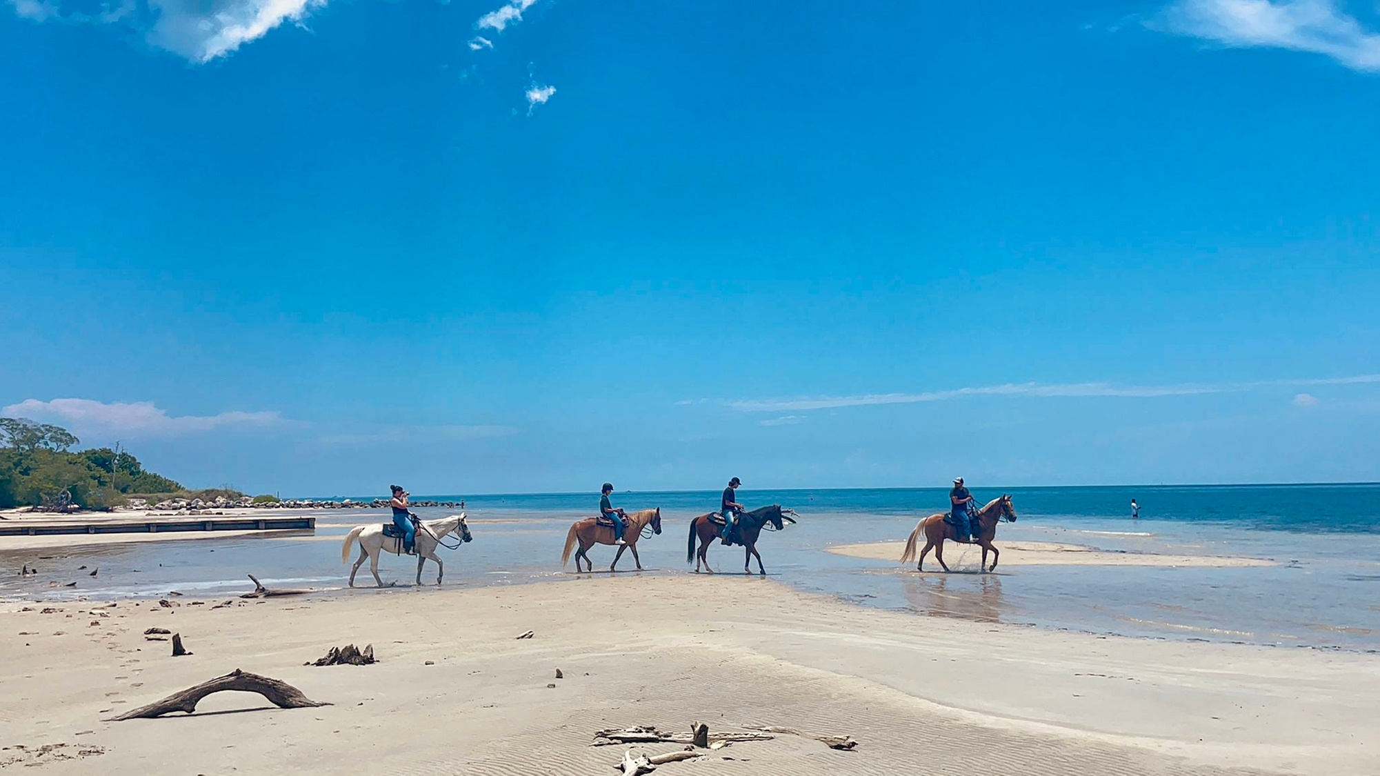 Up to 17% Off on Equestrian Experience at Palomino Ranch & Tours LLC - Primary Image