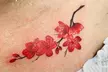 Transform Your Look: Mini Tattoo – Single Small Design at TD Beauty Spa - Milpitas Location (Up to 40% Off) - Second Medium