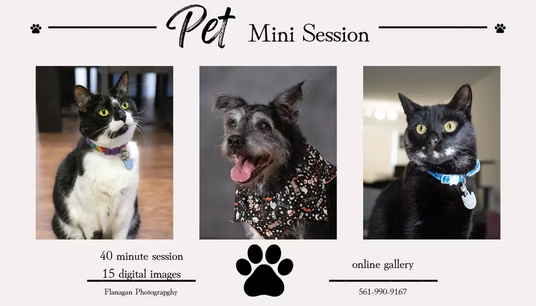 Up to 80% Off on Pet Photography at Riley Flanagan Photography - Primary Image