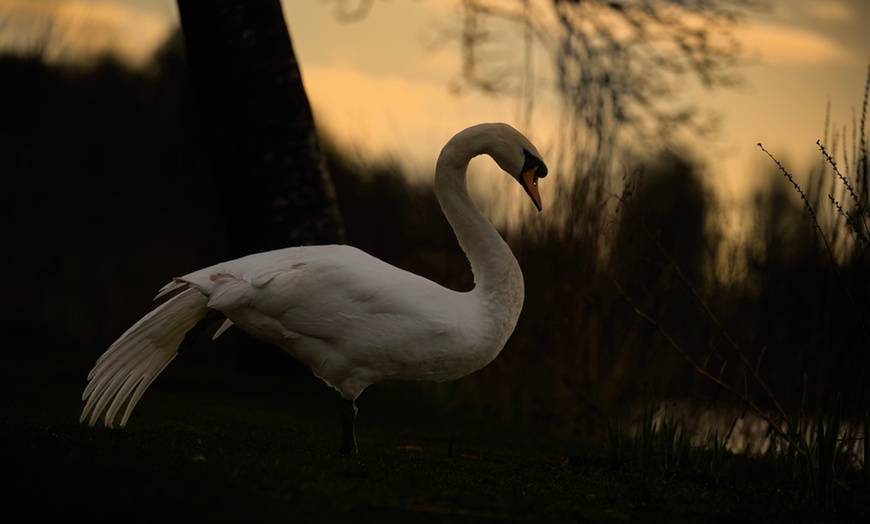 Image 2: Wildlife Photography Workshop for Beginners at Touch the Wild