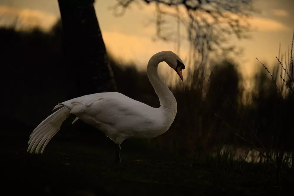 Wildlife Photography Workshop for Beginners at Touch the Wild