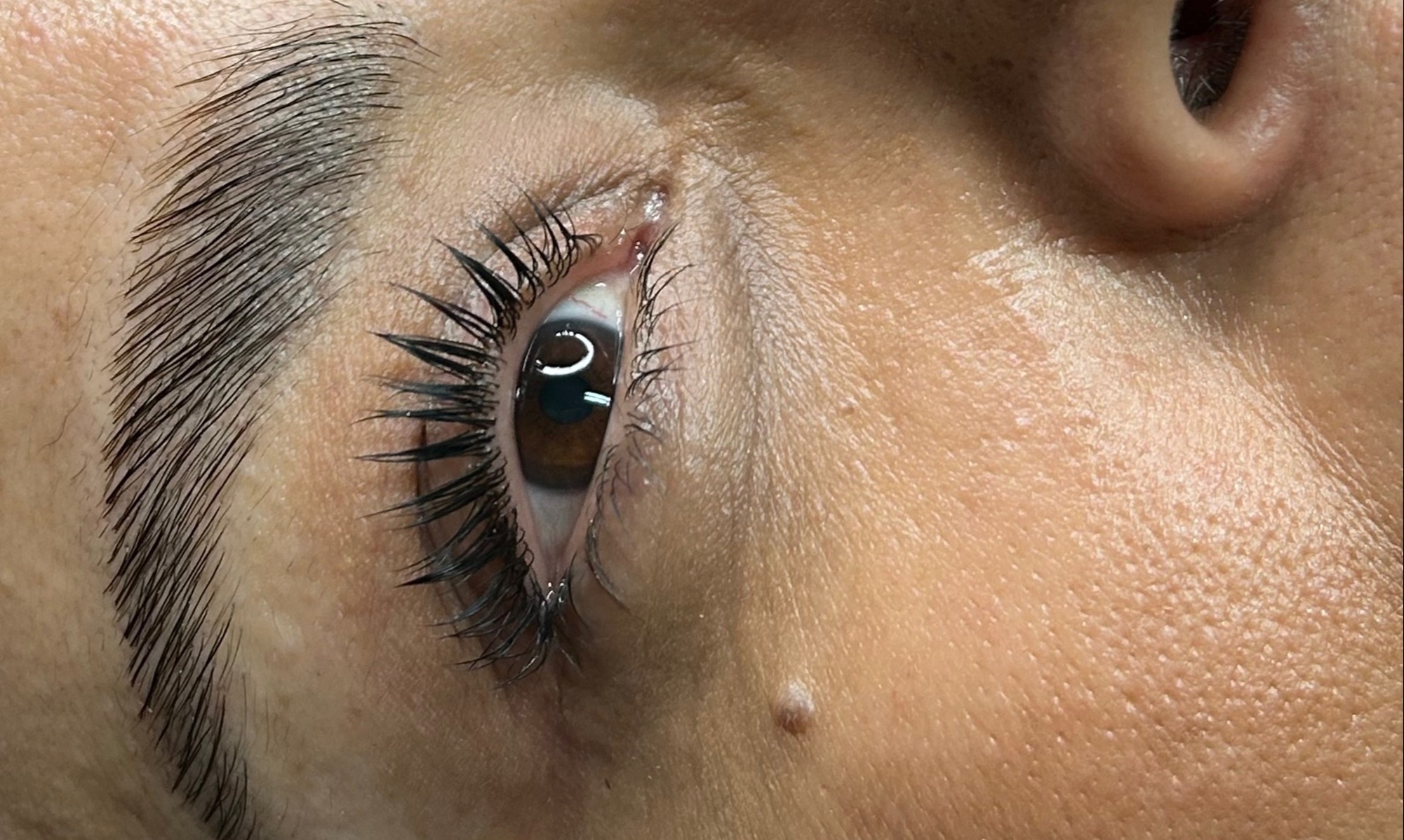 Transform Your Look with Brow Lamination, Lash & Lip Blush