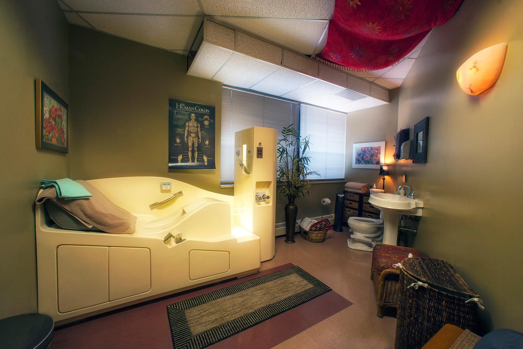 Experience Colon Hydrotherapy Session with Consultation