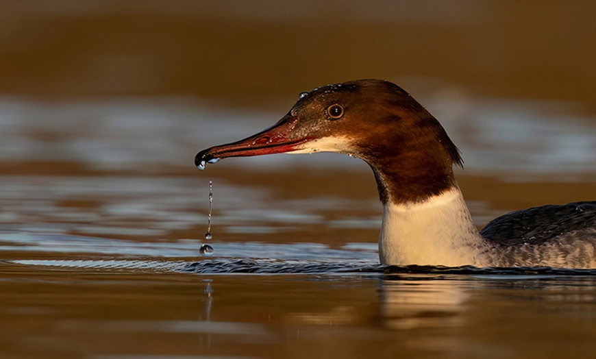 Image 3: Wildlife Photography Workshop for Beginners at Touch the Wild