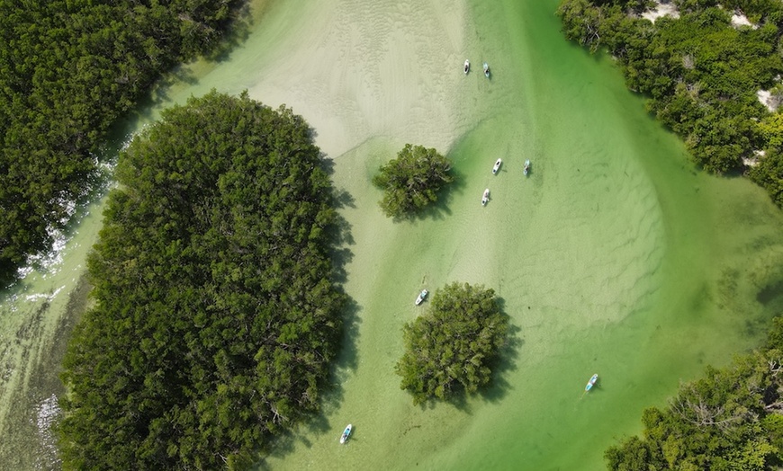 Image 5: Up to 37% Off on Kayak Rental at Murphs Surf - Kayak Rentals - Siesta Key