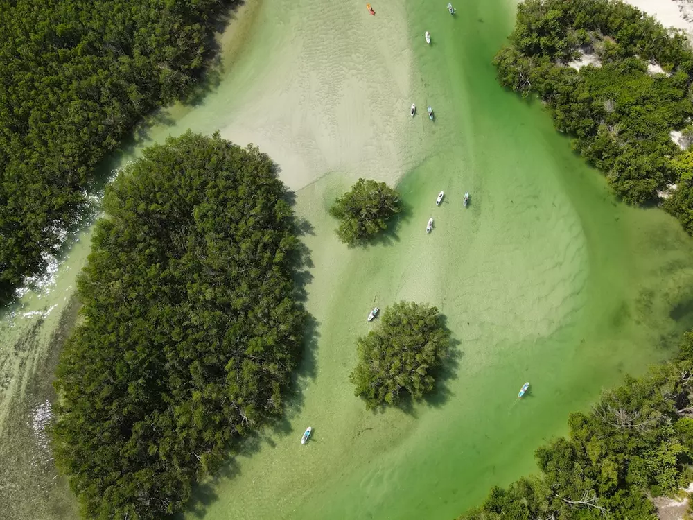 Up to 56% Off on Kayak Rental at Murphs Surf - Kayak Rentals - Siesta Key