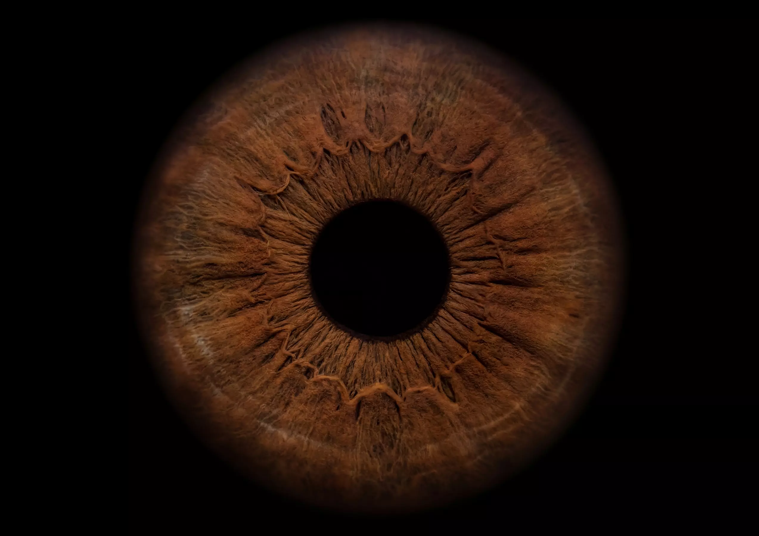 Iris Nahaufnahme: Ihr Auge im Mittelpunkt !