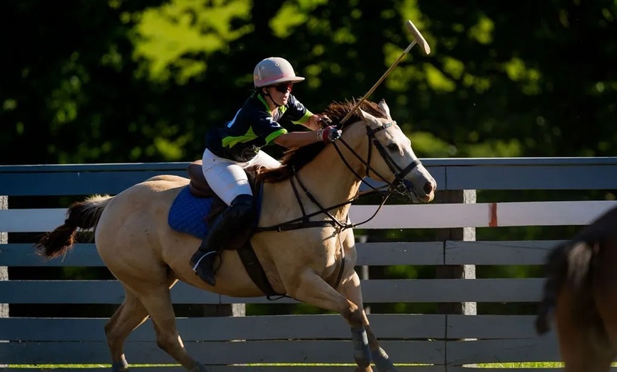 Image 1: Saddle Up for Fun: Experience the Thrill of Polo Like Never Before!