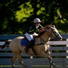 Image 1: Saddle Up for Fun: Experience the Thrill of Polo Like Never Before!