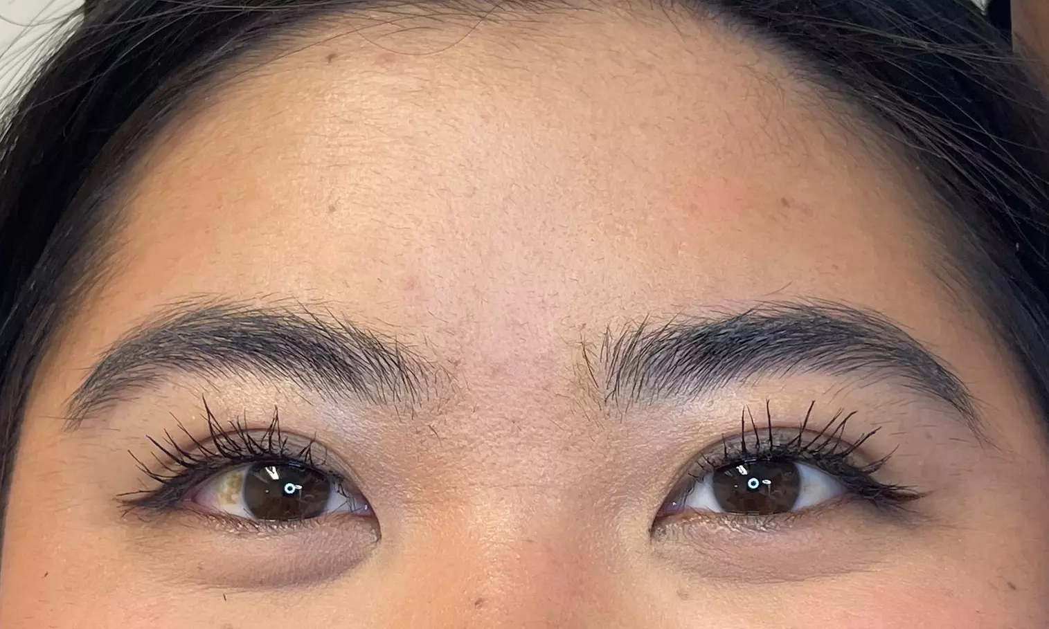 Enhance Your Brows with Lamination and Tint Options