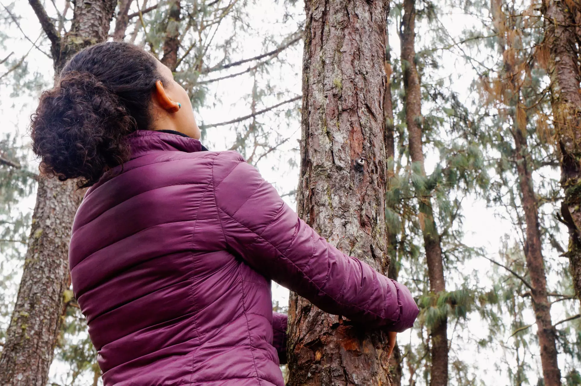 Enjoy a Two-Hour Guided Forest Bathing Walk with Forest Baths, perfect for groups of 3-6, with savings up to 40% - Second Medium