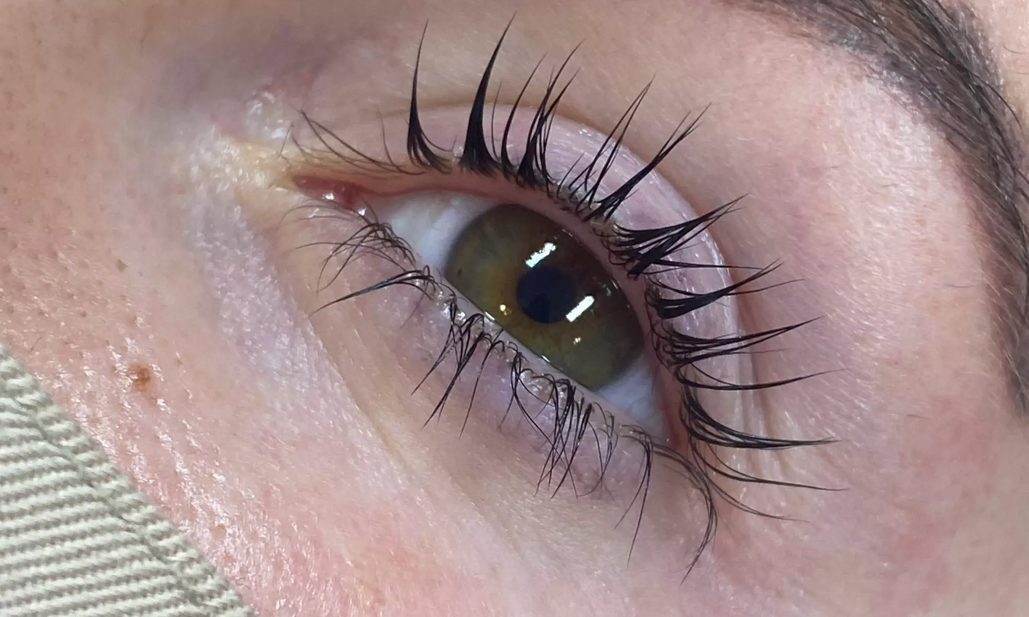 Up to 37% Off on Eyebrow Tinting at Brows Studio and more