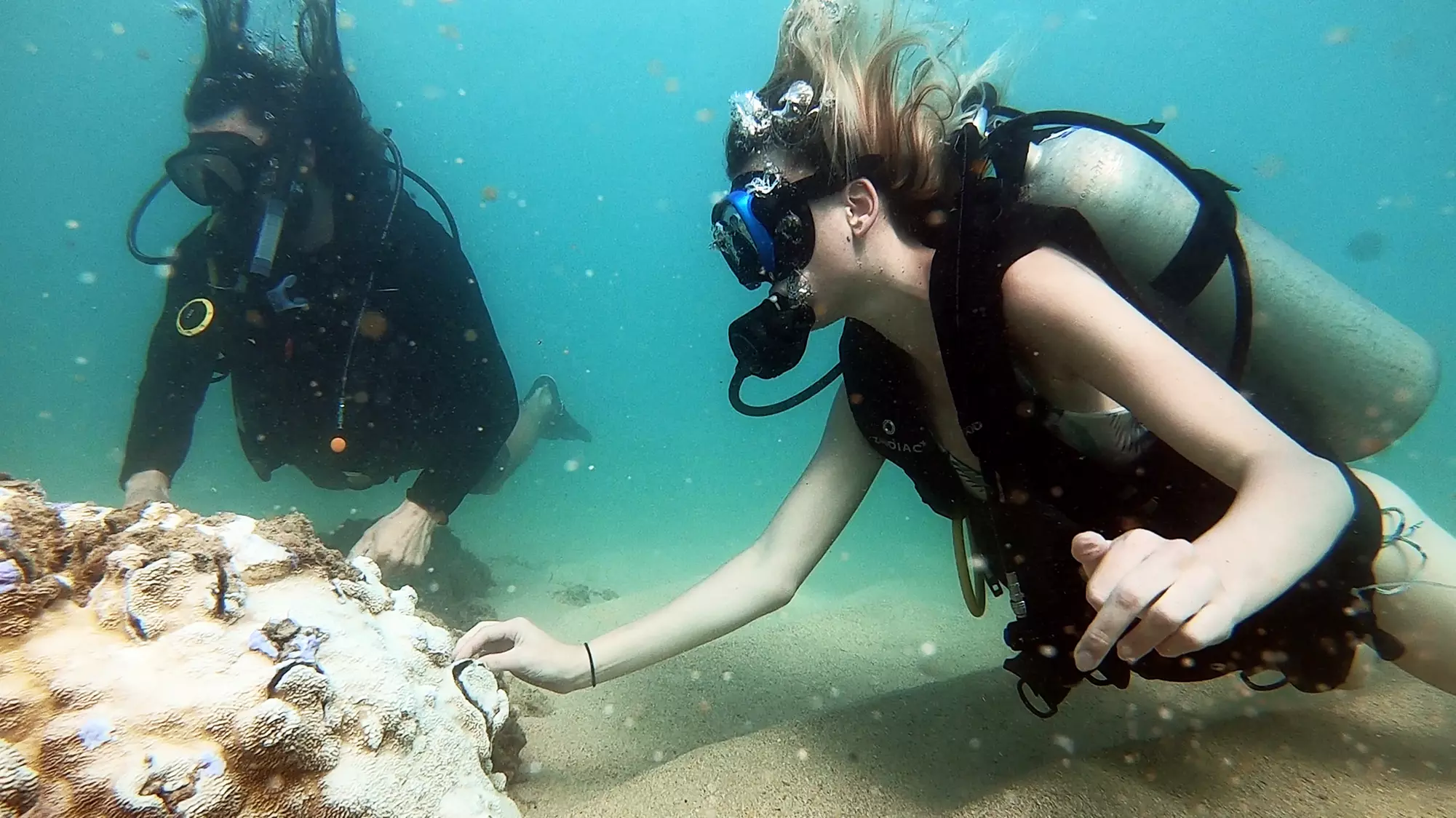 Up to 59% Off on SCUBA at Try Scuba Diving  Panama City Beach - Second Medium