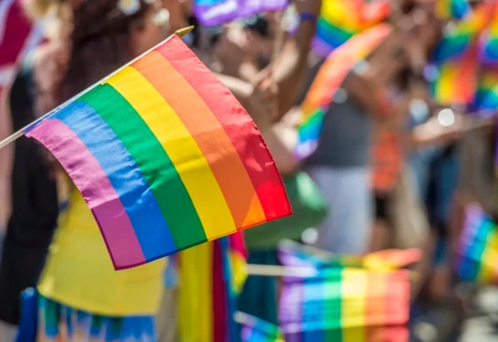 DC Pride Crawl Participants
