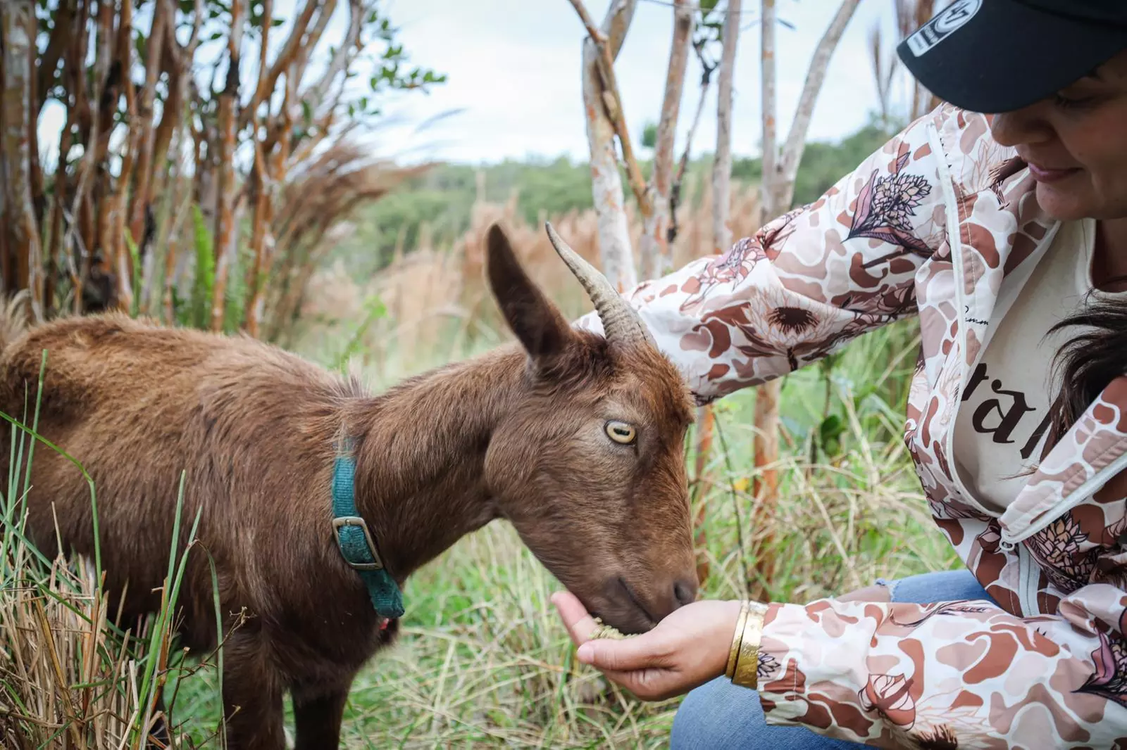Up to 53% Off on Farm Tour at Ohana Ranch
