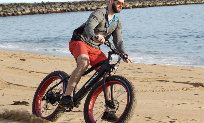 Image 1: 3-Day Rental of Cruiser, Off-Road Fat Tire, or Family & Cargo E-Bike