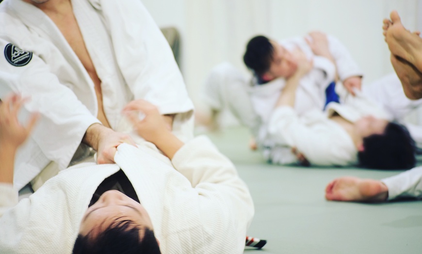 Image 2: Jump into Two Weeks or One Month of Brazilian  Jiu-Jitsu Classes!