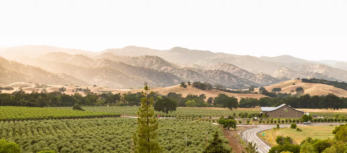 Wine Tasting, Olive Mill Tour w/Olive Oil Tasting for 2 or 4 +Take-Home Bottles of Wine/Olive Oil](Up to32% Off) - Primary Image