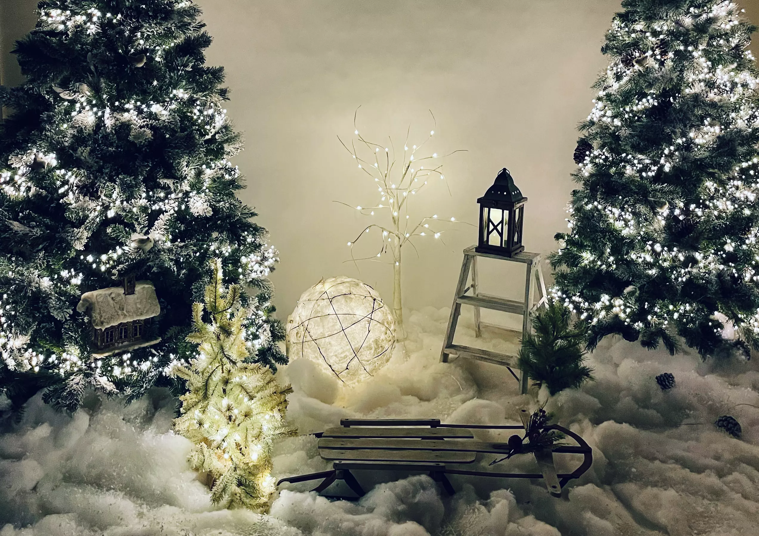 Up to 40% Off on Seasonal Photography at Michal Mode Photographer - Primary Image