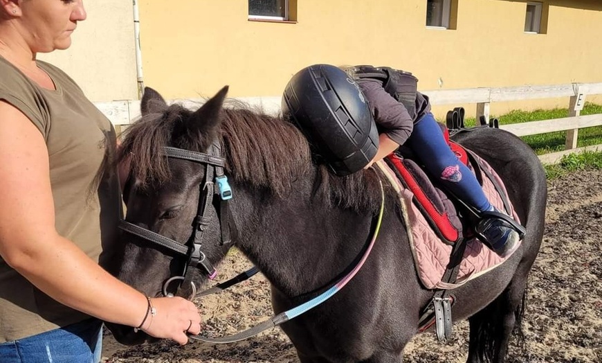 Image 1: Jazda konna na lonży w firmie Kj Anno Lepi