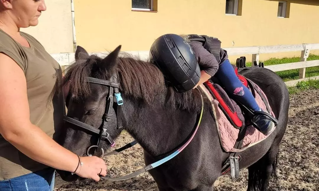 Jazda konna na lonży w firmie Kj Anno Lepi