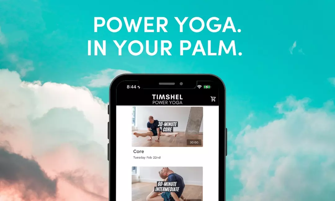 Up to 50% Off on Online Yoga / Meditation Course at Timshel Power Yoga - Primary Image
