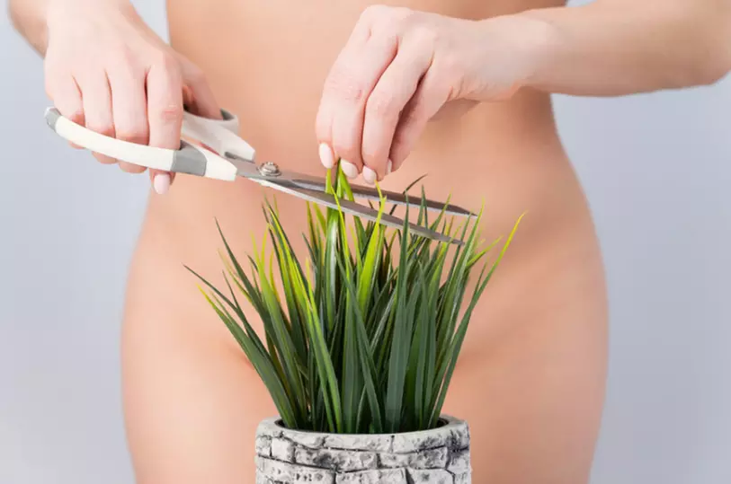 Up to 37% Off on Waxing - Leg at Juzt Beautiful Esthetics inside Platinum Salon and Day Spa