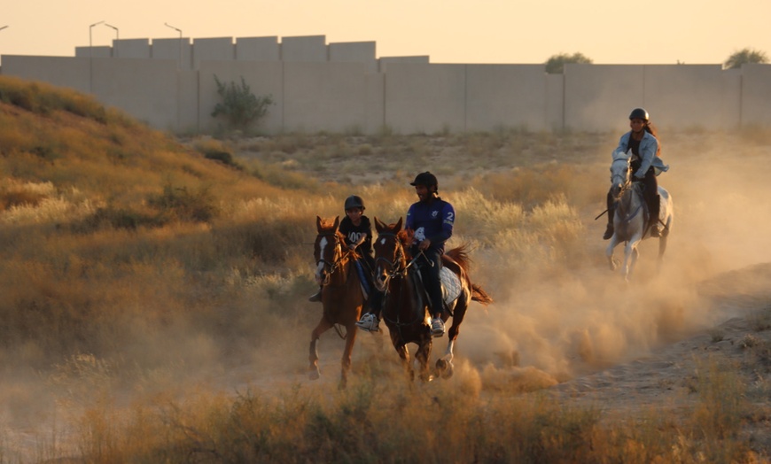 Image 2: Al Madam 2 Stables, 45-minute horse riding lesson