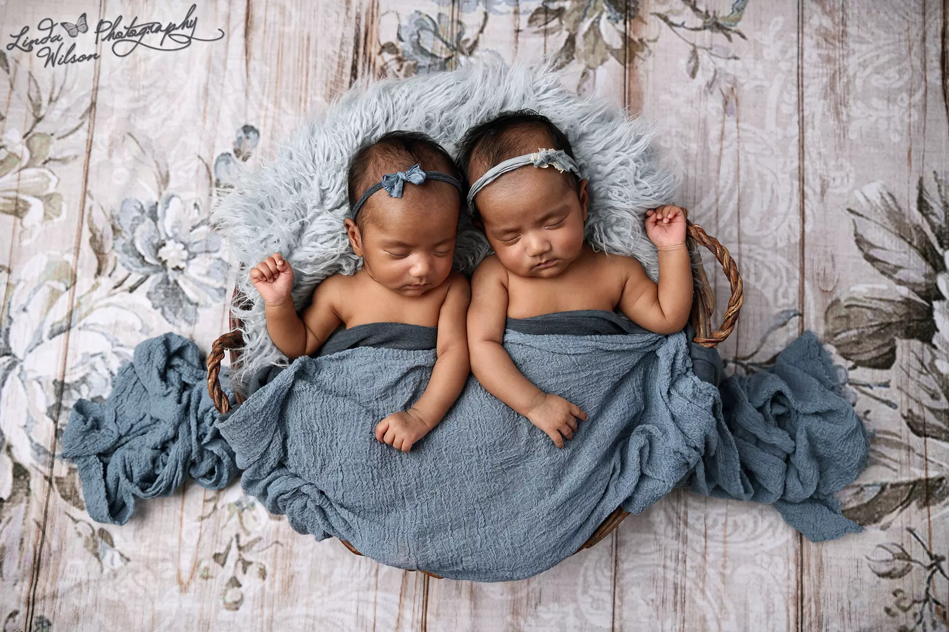 Up to 50% Off on Studio Photography at Linda Wilson Photography