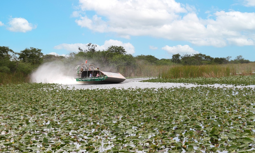 Image 7: Experience Wide Angle Tours' Everglades adventure for one or two, with up to 20% off. A thrilling airboat tour awaits!