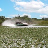 Image 7: Experience Wide Angle Tours' Everglades adventure for one or two, with up to 20% off. A thrilling airboat tour awaits!
