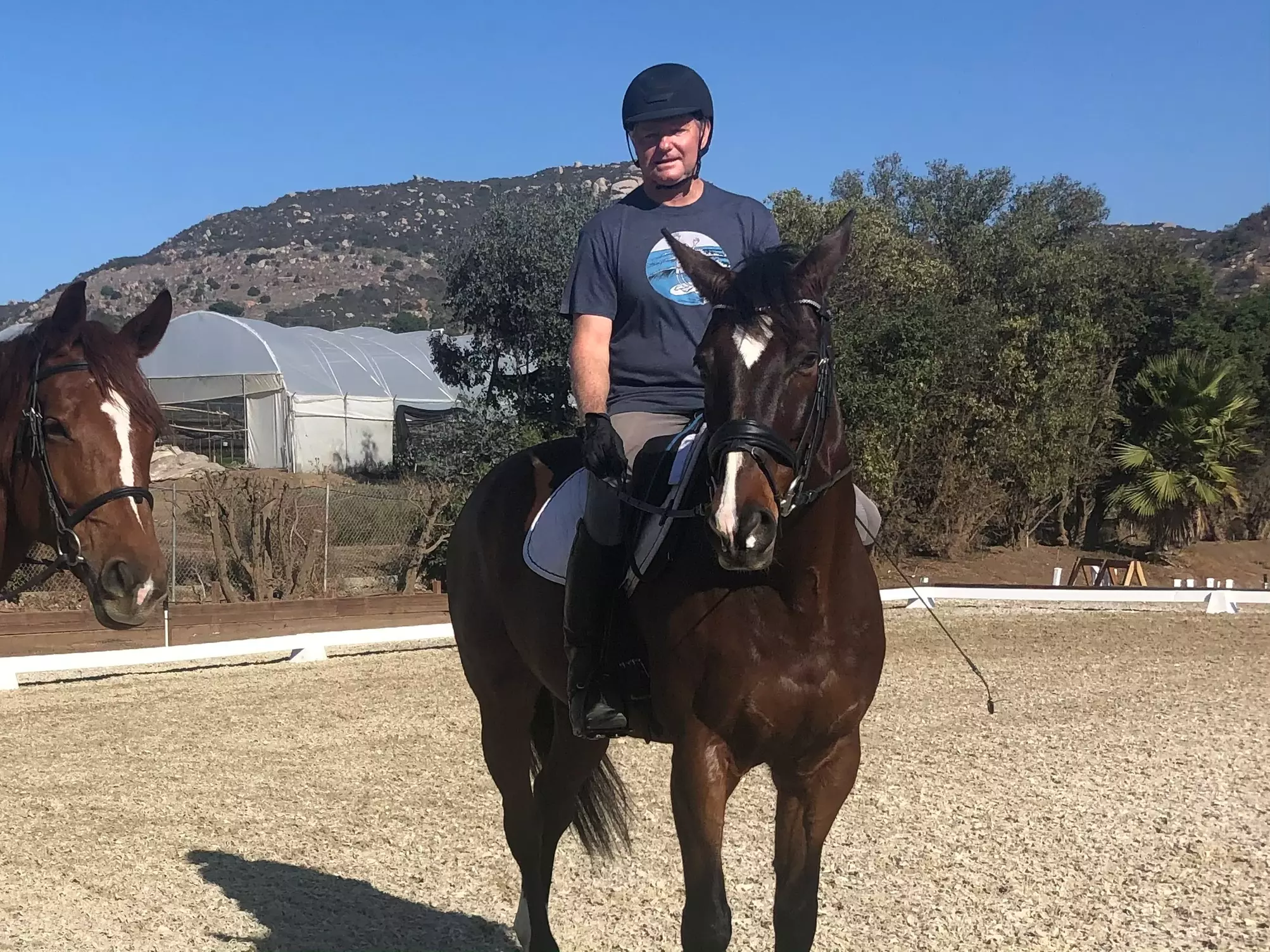 Up to 35% Off on Horse Back Riding - Recreational at Far View Farms Equestrian Center - Second Medium