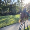Image 1: Up to 51% Off on Horse Back Riding at WB Family Ranch