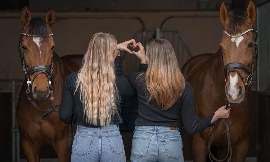 Image 2: Bis zu 59% Rabatt auf den Fotoaufnahmen – Tier bei Focus On You Fotografie