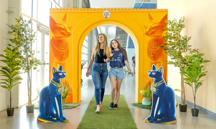 Up to 48% Off on Art Festival at POP Cats - Primary Image